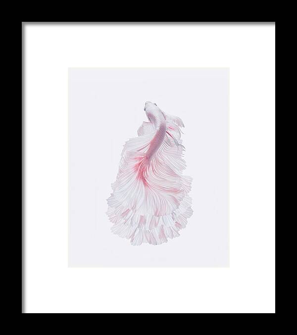 Pink Framed Print featuring the photograph The White Dress by Andi Halil