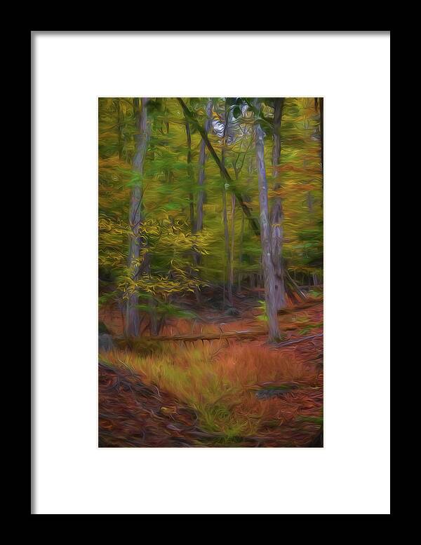 Autumn Framed Print featuring the photograph The Woods in Autumn II by Alan Goldberg