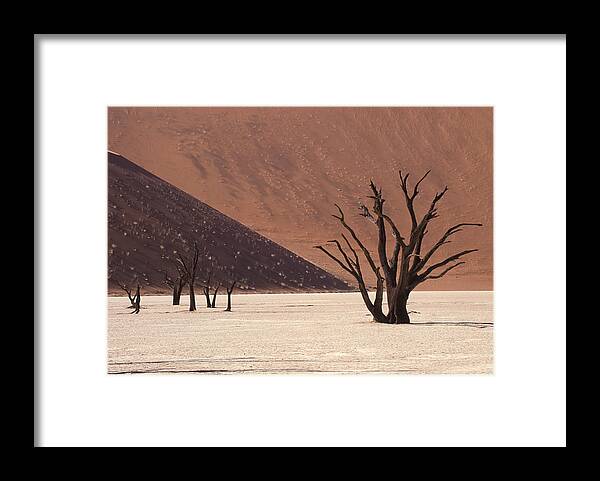 Tranquility Framed Print featuring the photograph Thousand Year Old Trees, Dead Vlei by Rosemary Calvert