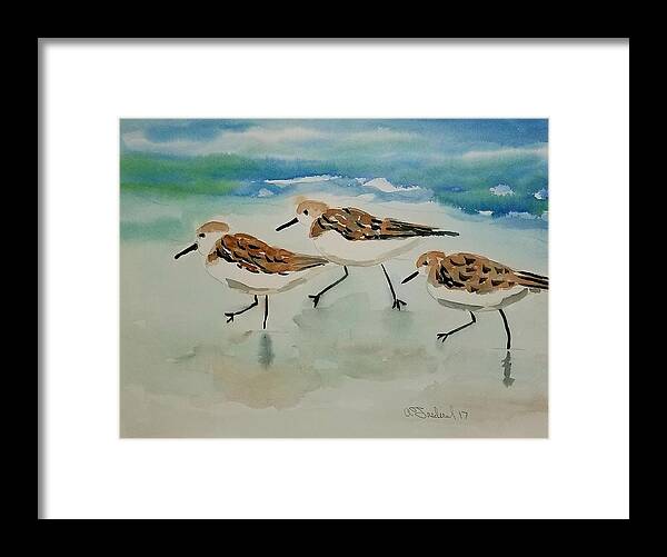 Plovers Framed Print featuring the painting Three birds at the beach by Ann Frederick