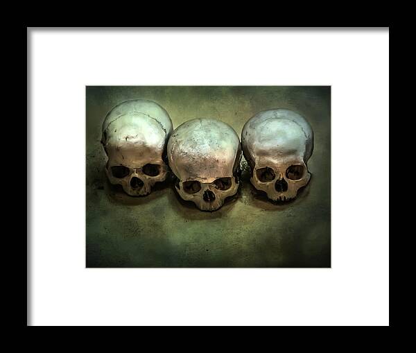 Bone Framed Print featuring the photograph Three human skulls by Jaroslaw Blaminsky