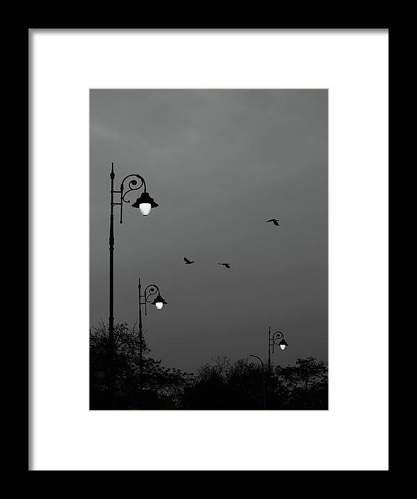Minimalism Framed Print featuring the photograph Three Lamps Three Birds by Prakash Ghai