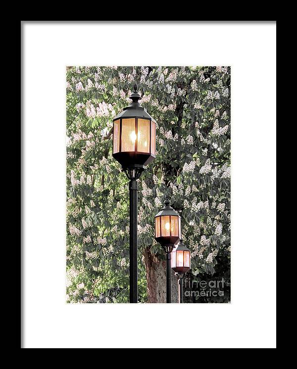 Lanterns Framed Print featuring the photograph Three lanterns aglow by Janice Drew