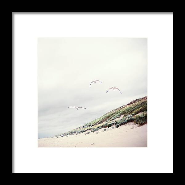Scenics Framed Print featuring the photograph Three Seagulls At Beach by Elisabeth Schmitt