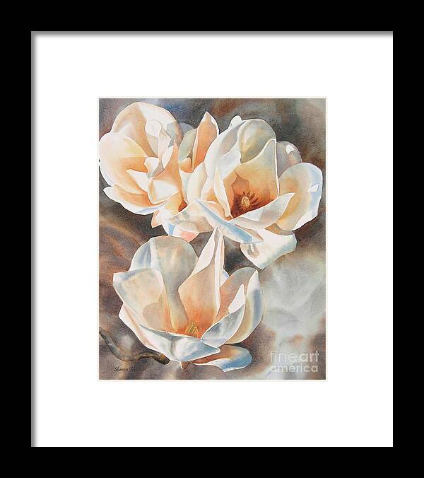White Framed Print featuring the painting Three White Magnolias by Sharon Freeman