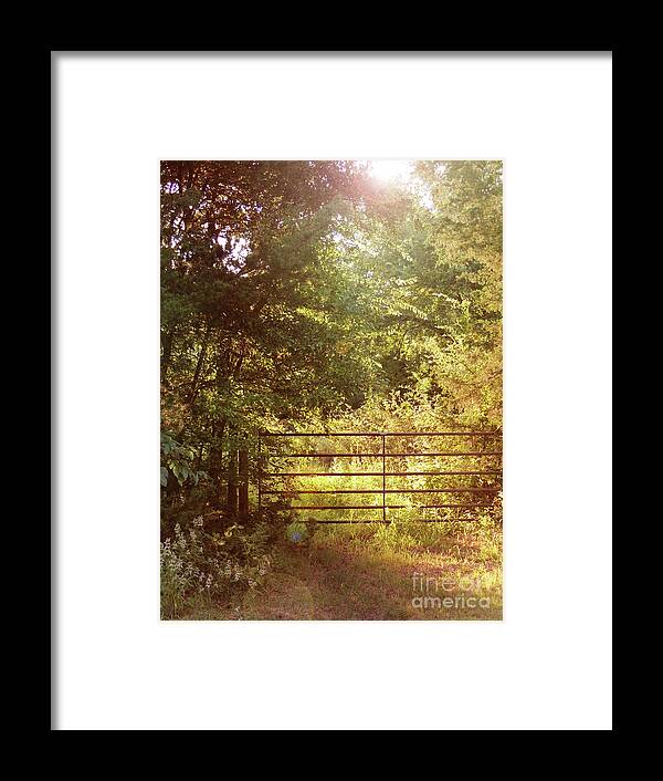 Autumn Framed Print featuring the photograph Through a Country Gate by Jayne Wilson