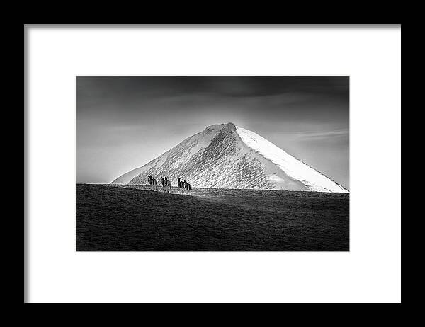 Wild-donkey Framed Print featuring the photograph Tibetan Wild Donkeys In Himalaya Mountains by Dianne Mao