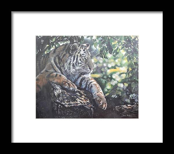 Tiger Framed Print featuring the painting Shady Tiger by John Neeve