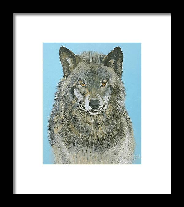 Timber Wolf Framed Print featuring the painting Timber Wolf 4 by Stan Hamilton