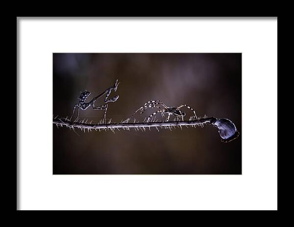 Macro Framed Print featuring the photograph Time For You To Go by Fabien Bravin