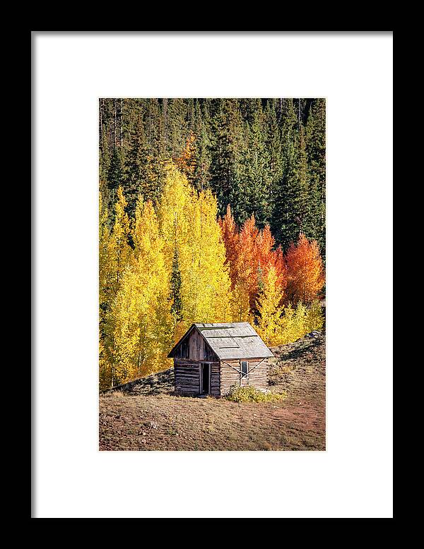 Cabin Framed Print featuring the photograph Tiny Shelter Beside Aspens by Denise Bush