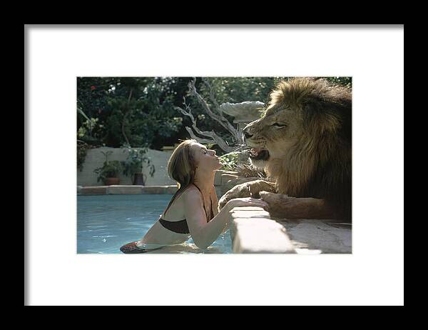 Tippi Hedren Framed Print featuring the digital art Tippi Hedren & Neil The Lion by Michael Rougier