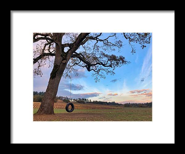 Tree Framed Print featuring the photograph Tire Swing Tree by Brian Eberly