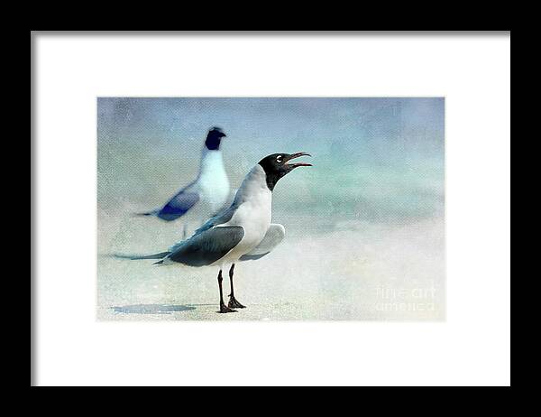 Gull Framed Print featuring the photograph Too'fer Summer by Beve Brown-Clark Photography