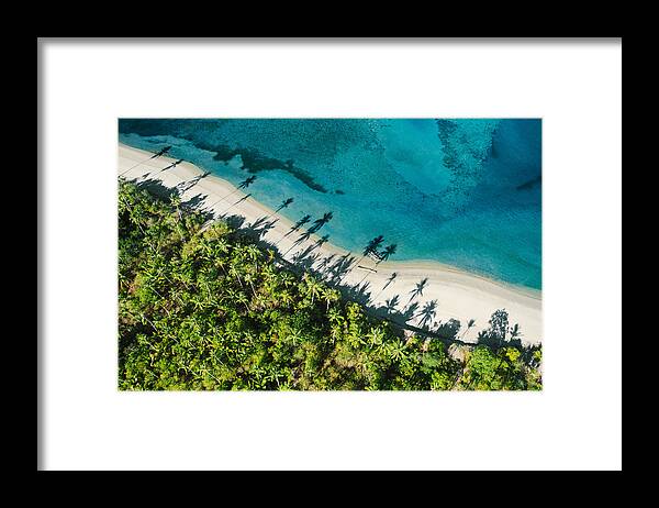 Trees Framed Print featuring the photograph Top Down View Of Tropical Landscape by Jakub Barzycki