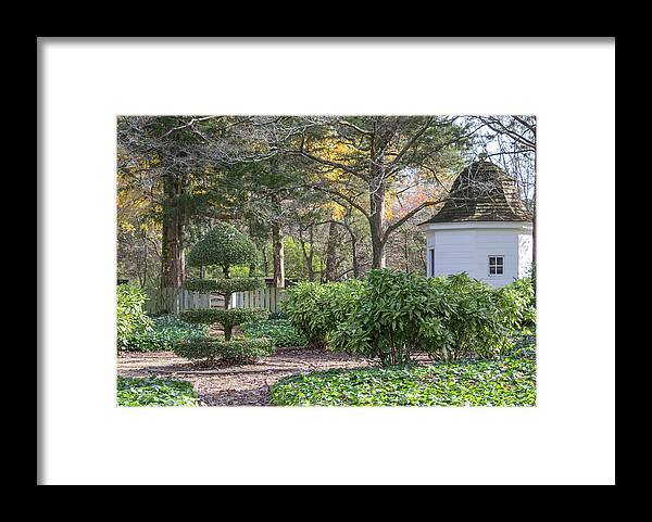 2016 Framed Print featuring the photograph Topiary in Colonial Williamsburg by Teresa Mucha