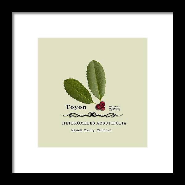 California Holly Framed Print featuring the digital art Toyon Christmas Berry by Lisa Redfern