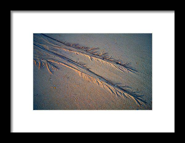 Sand Framed Print featuring the photograph Traces On The Beach At Sunrise by Bodo Balzer