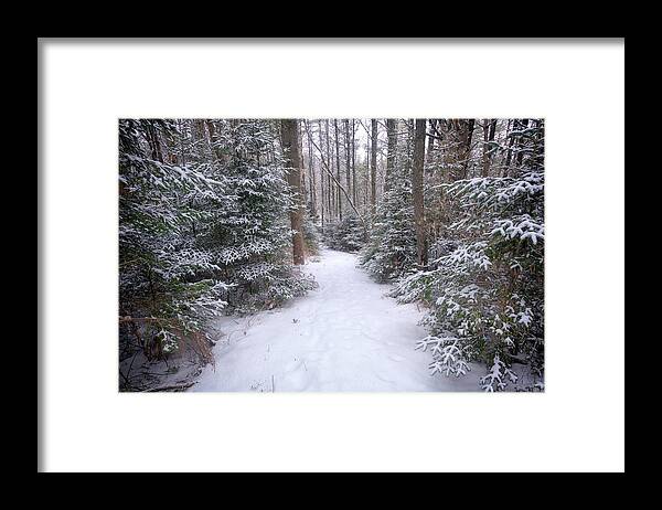 Freeport Framed Print featuring the photograph Trail Through The Snowy Forest by Rick Berk