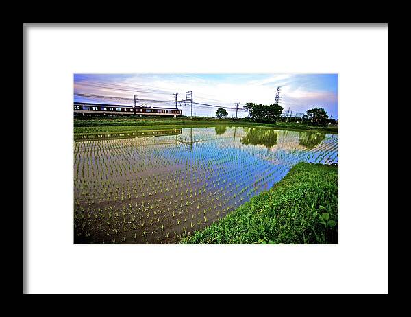 Scenics Framed Print featuring the photograph Train Passing By A Rice Field In Rural by Jake Jung