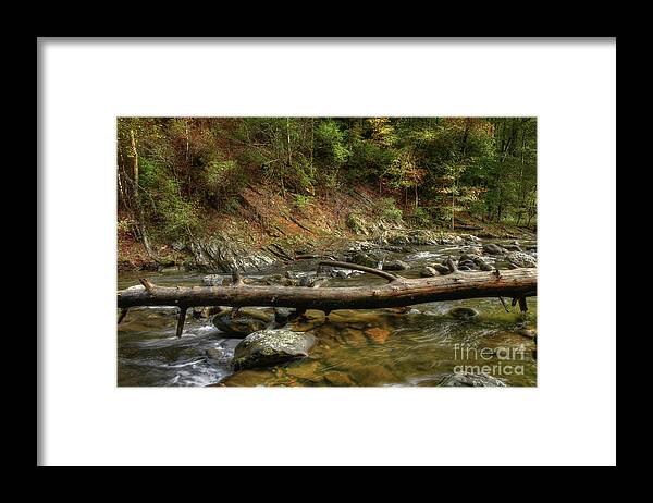 Tree Framed Print featuring the photograph Tree Across The River by Mike Eingle
