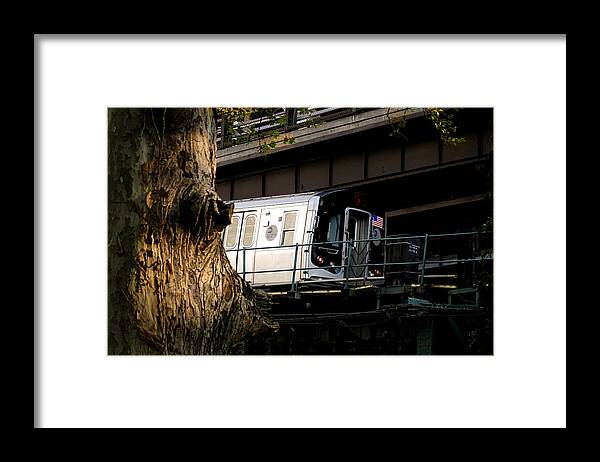 Subway Framed Print featuring the photograph Tree and Train by Steve Ember