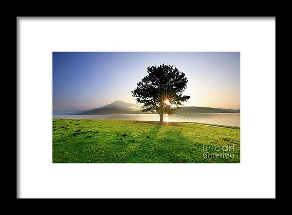 Dead Framed Print featuring the photograph Tree By Lake And Mountain by Thang Tat Nguyen