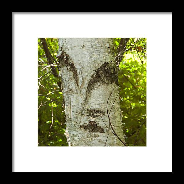 Tree Framed Print featuring the photograph Tree Face by Marty Klar