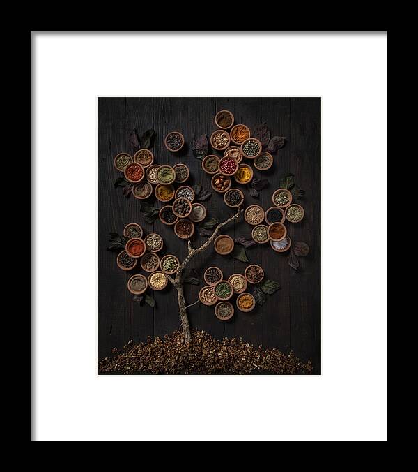 Spice Framed Print featuring the photograph Tree Of Spice by Diana Popescu
