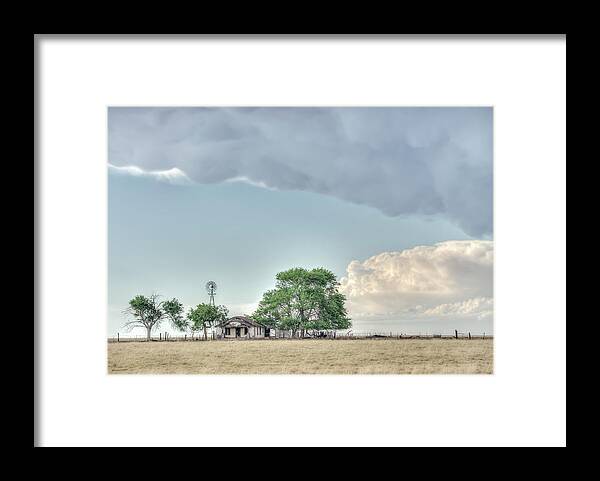 Clouds Framed Print featuring the photograph Trees Are Alive by Laura Hedien