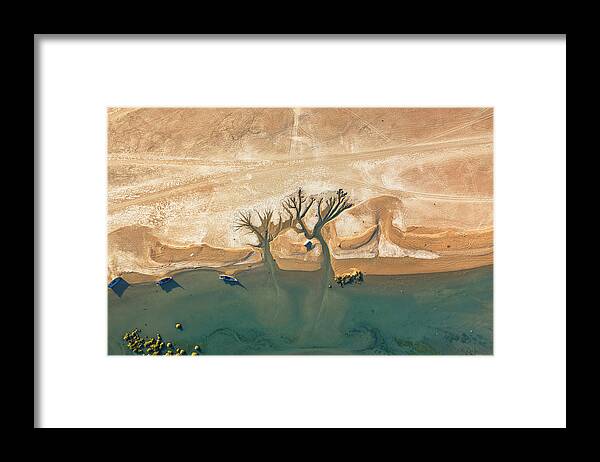  Framed Print featuring the photograph Trees Of Life by Haitham Al Farsi
