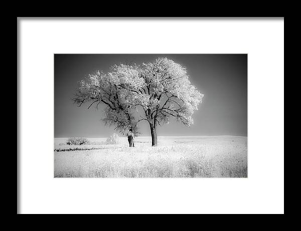 Black And White Framed Print featuring the photograph Trees Of The Flint Hills In Black by Michael Scheufler