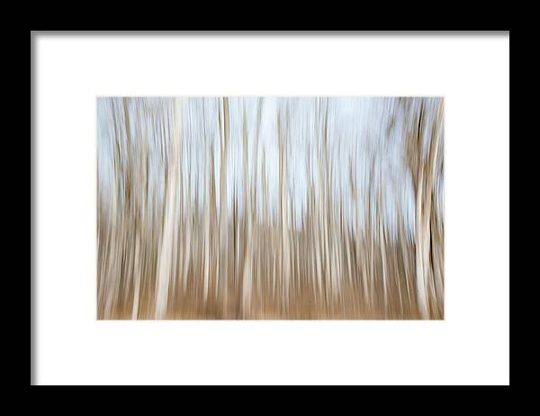 Blue Ridge Framed Print featuring the photograph Trees on the Move by Mark Duehmig
