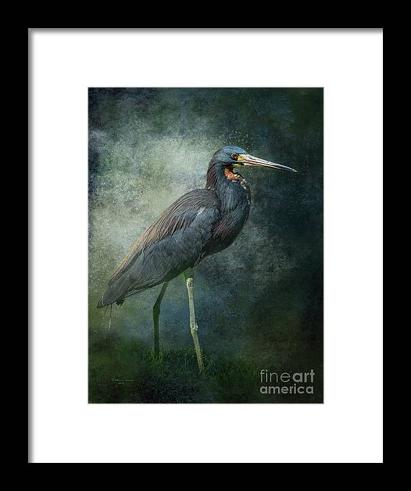 Heron Framed Print featuring the mixed media Tricolor Portrait by Marvin Spates