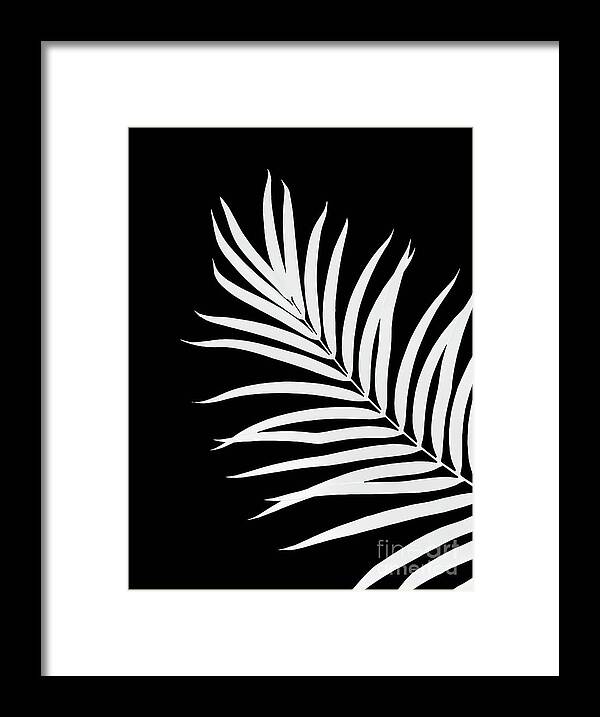 Black-and-white Framed Print featuring the photograph Tropical Palm Leaf #2 #botanical #decor #art by Anitas and Bellas Art