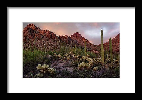 Tucson Framed Print featuring the photograph Tucson Mountains Sunset by Dave Dilli