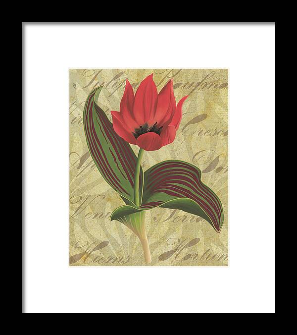 Tulip Framed Print featuring the painting Tulipa Kaufmanniana Winter by Nikita Coulombe