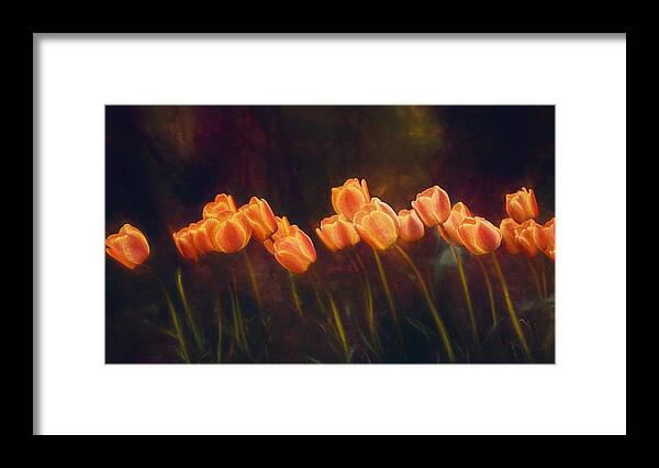 Flower Framed Print featuring the photograph Tulips by Cicek Kiral