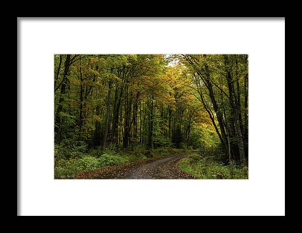 Tree Framed Print featuring the photograph Tunnel of Trees by Jody Partin
