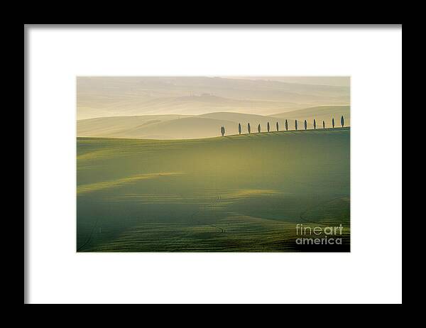 Landscape Framed Print featuring the photograph Tuscany Landscape with Cypress Trees by Heiko Koehrer-Wagner