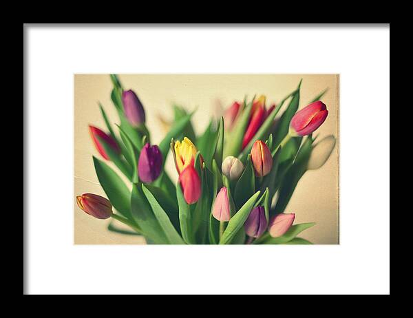 Netherlands Framed Print featuring the photograph Twenty Colorful Tulips by Photo By Ira Heuvelman-dobrolyubova