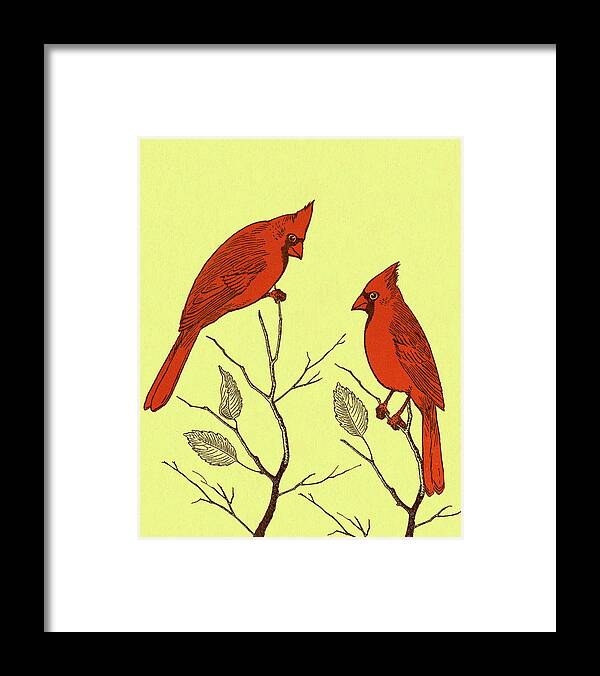 Animal Framed Print featuring the drawing Two Cardinal Birds by CSA Images
