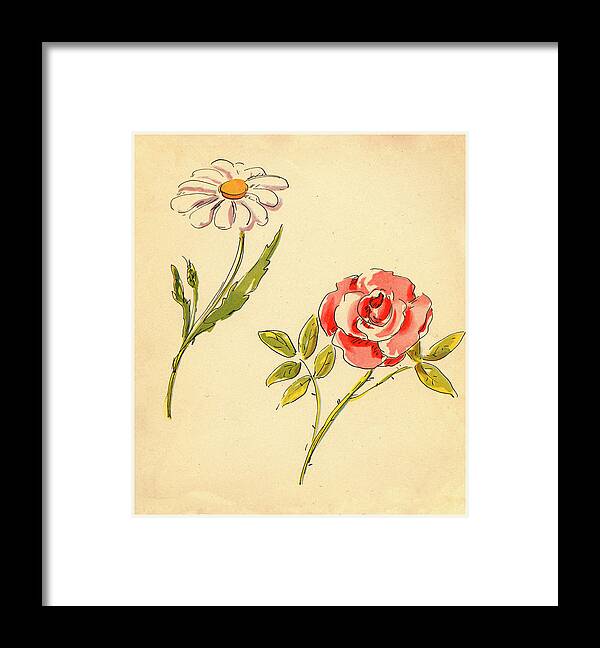 Flowers Framed Print featuring the painting Two Flowers by Romney Gay