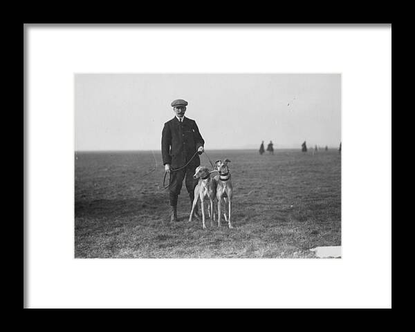 Event Framed Print featuring the photograph Two Greyhounds by Hulton Archive