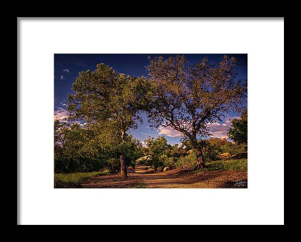 Oak Trees Framed Print featuring the photograph Two Old Oak Trees At Sunset by Endre Balogh