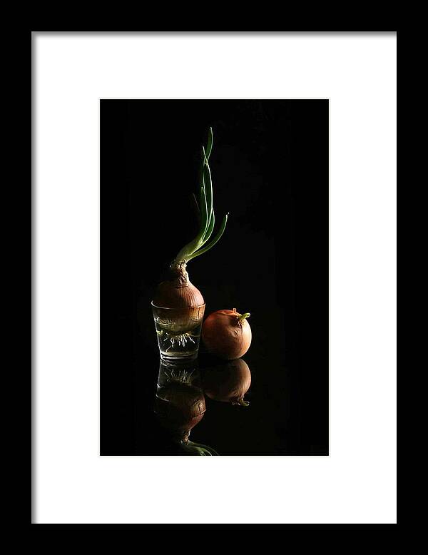 Onions Framed Print featuring the photograph Two Onions by Fangping Zhou