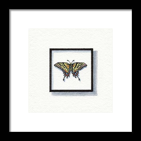 Two Tailed Framed Print featuring the painting Two Tailed Swallowtail Papilio Multicaudata Watercolor Butterfly by Irina Sztukowski
