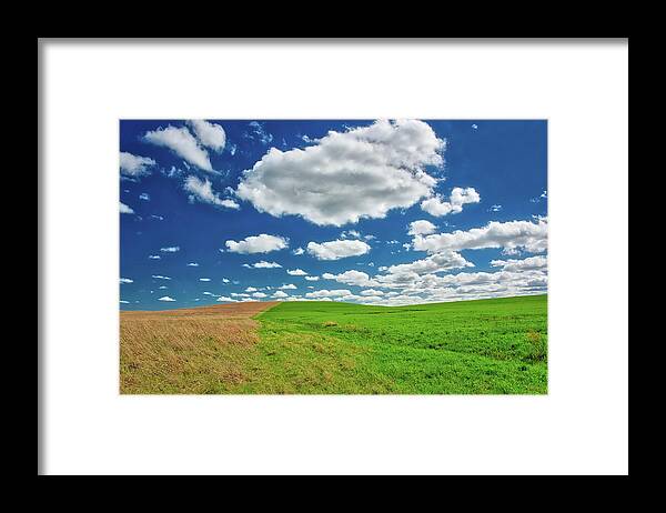 Blue Framed Print featuring the photograph Two Toned Hill In The Flint Hills by Michael Scheufler