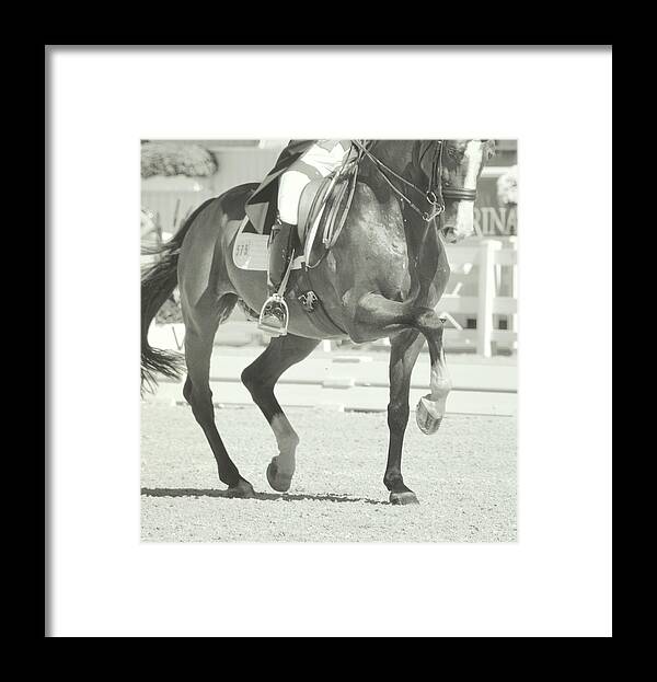 Arena Framed Print featuring the photograph Ultimate by Dressage Design