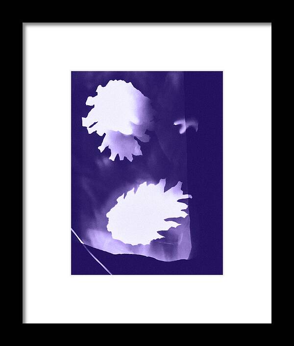 Photogram Framed Print featuring the photograph Ultra violet pine cones by Itsonlythemoon